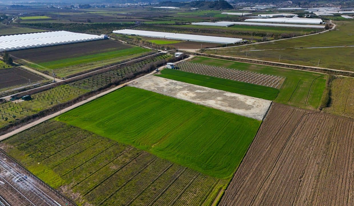 DJI_20250203111437_0005_D