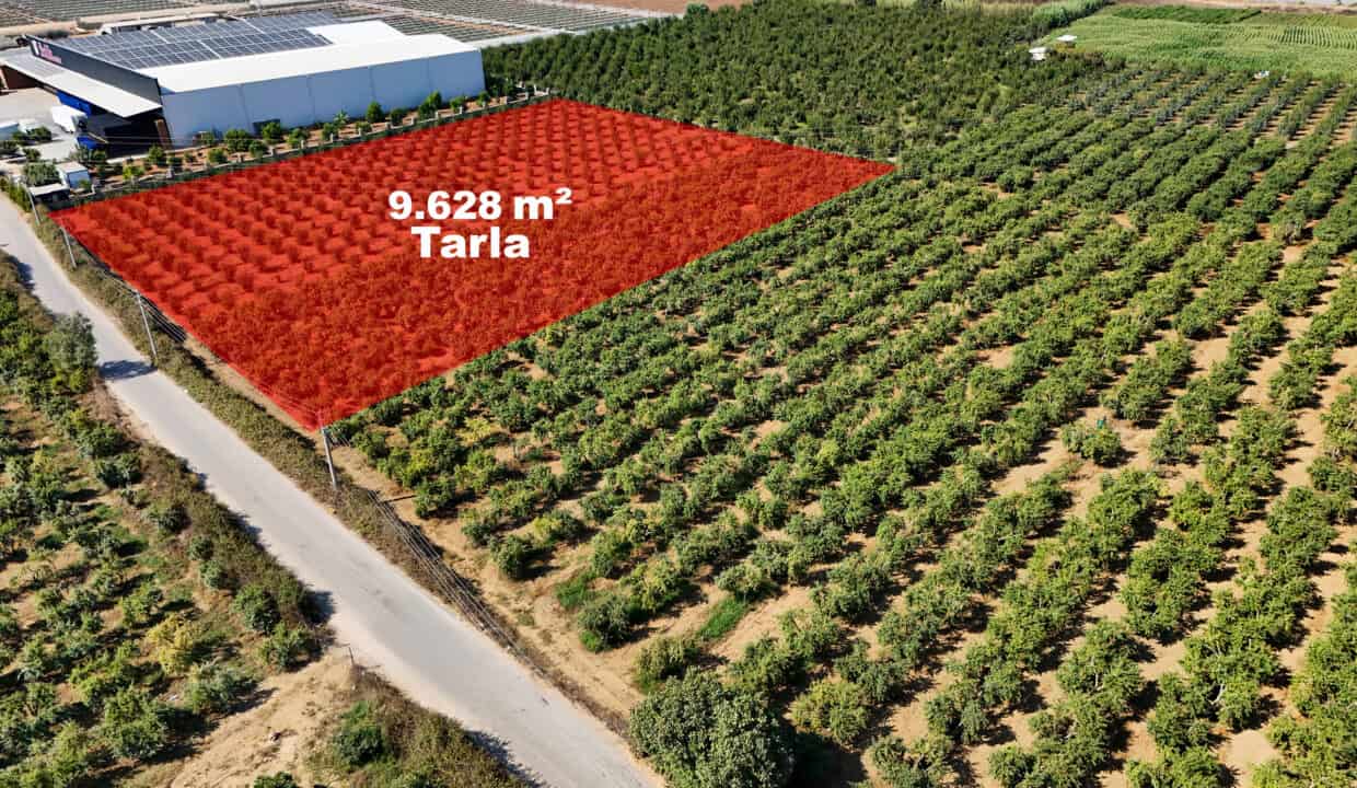 DJI_20250916145419_0001_D