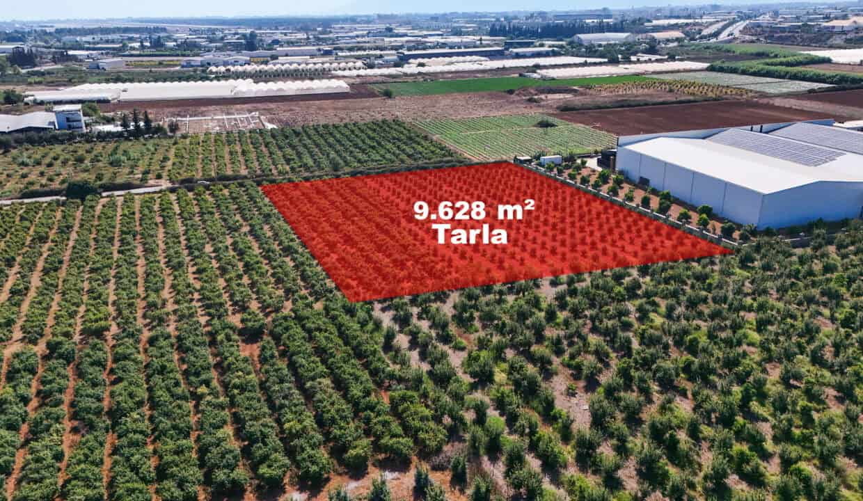 DJI_20250916145514_0004_D