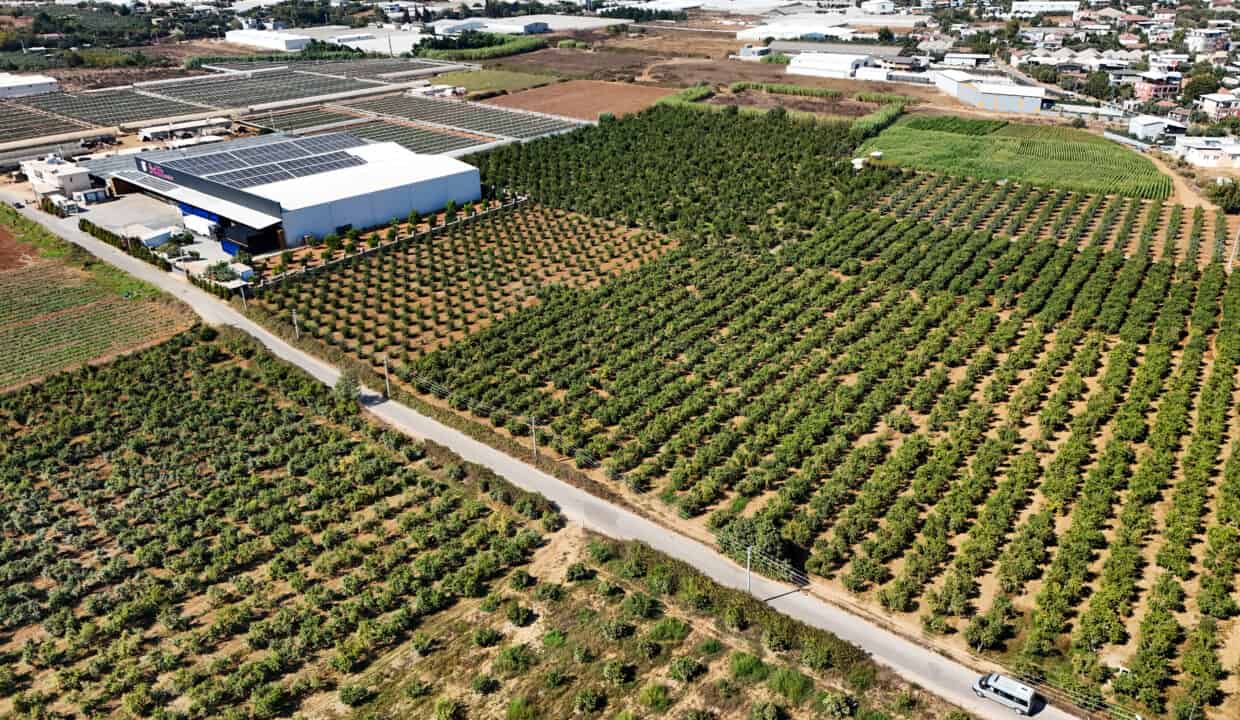 DJI_20250916145634_0008_D