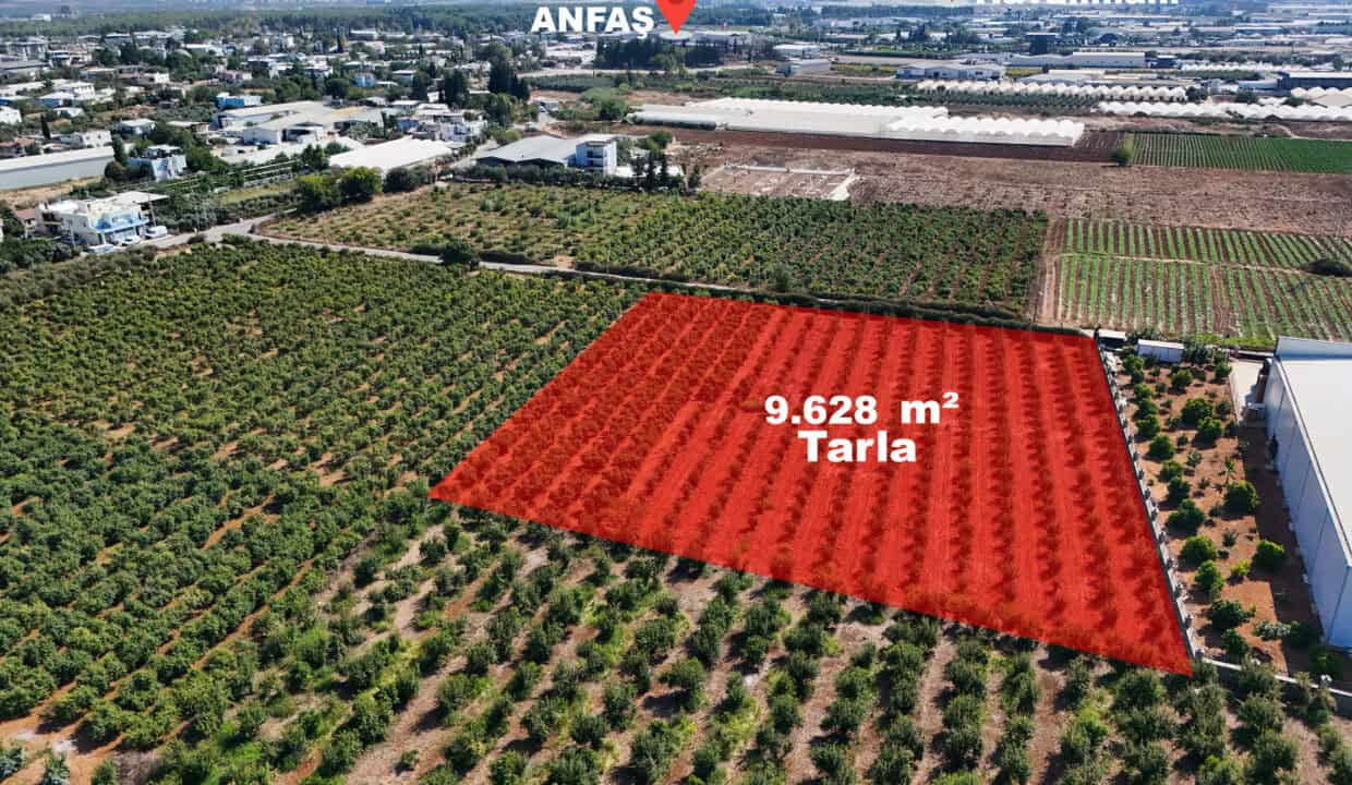 DJI_20250916145925_0013_D