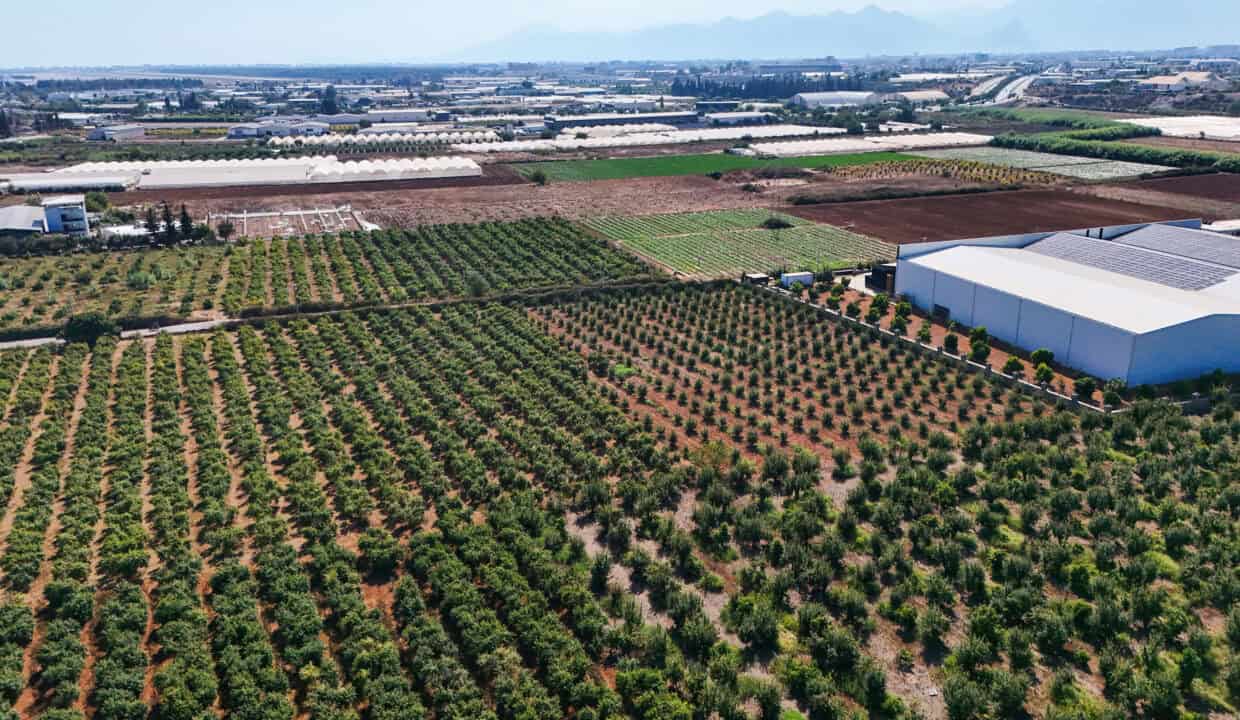 DJI_20250916150053_0019_D