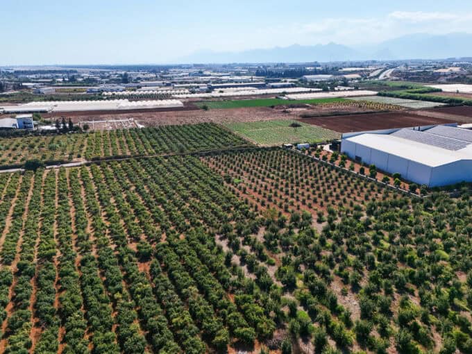 BARIŞ EREN’DEN AKSU-PINARLI DA İMAR SINIRINDA SATILIK TARLA