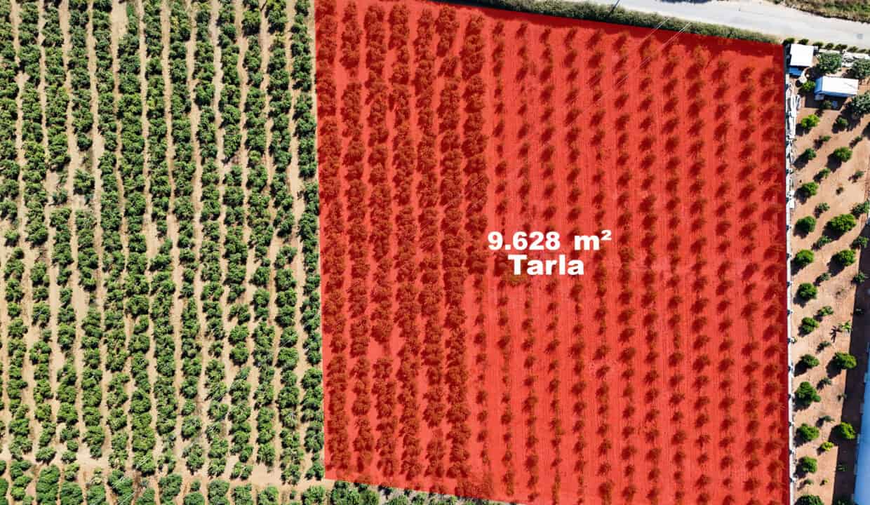 DJI_20250916150145_0021_D