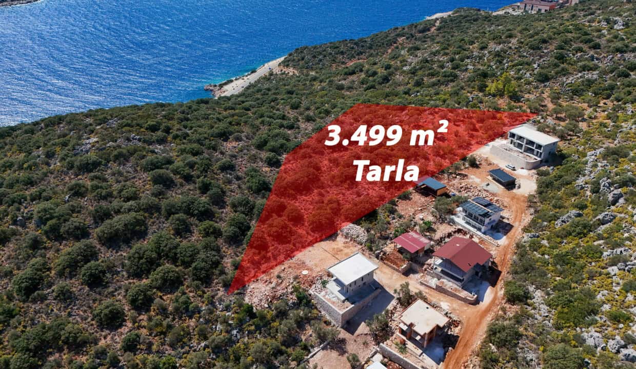 DJI_20241001121747_0031_D