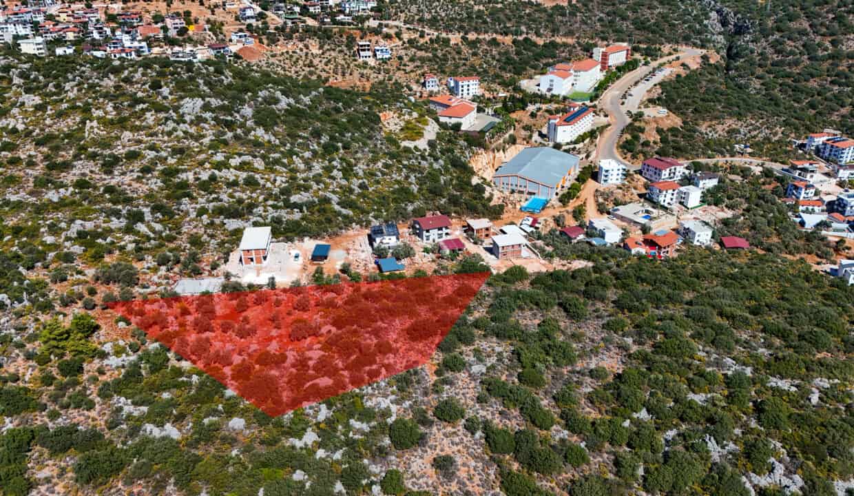 DJI_20241001121915_0036_D