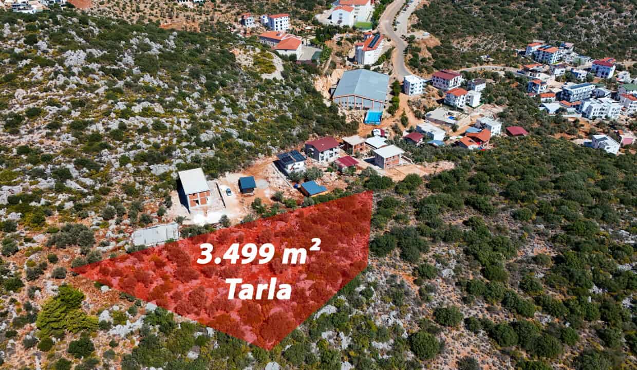 DJI_20241001121930_0037_D