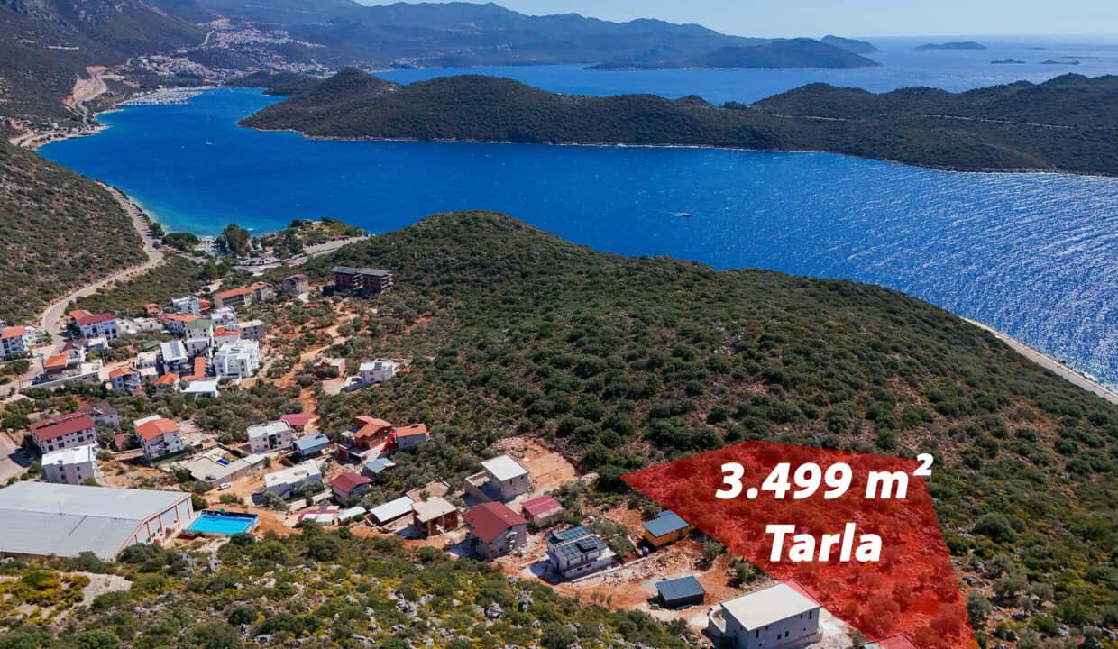 DJI_20241001122032_0039_D