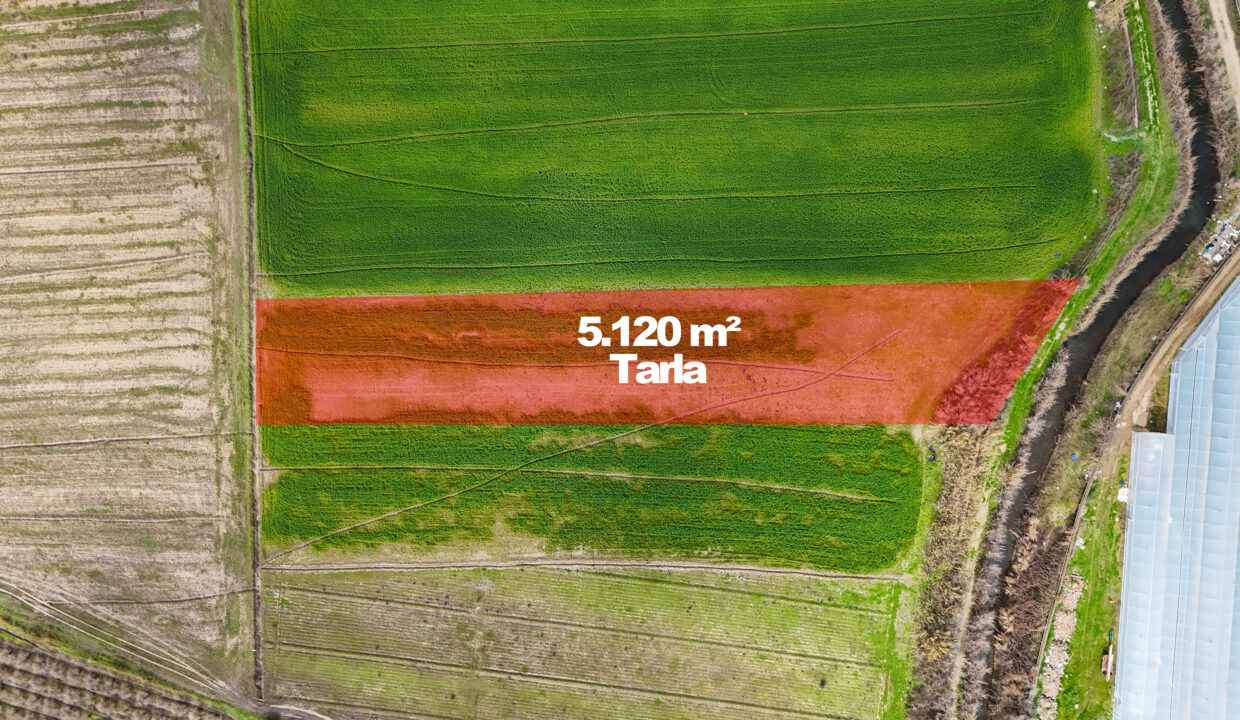 DJI_20260220125753_0008_D