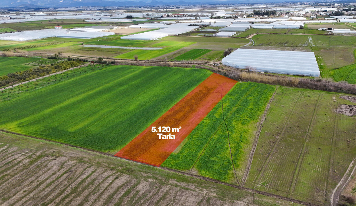 DJI_20260220125919_0011_D