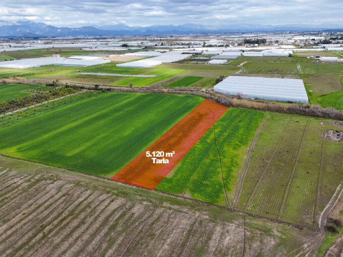 DJI 20260220125919 0011 D