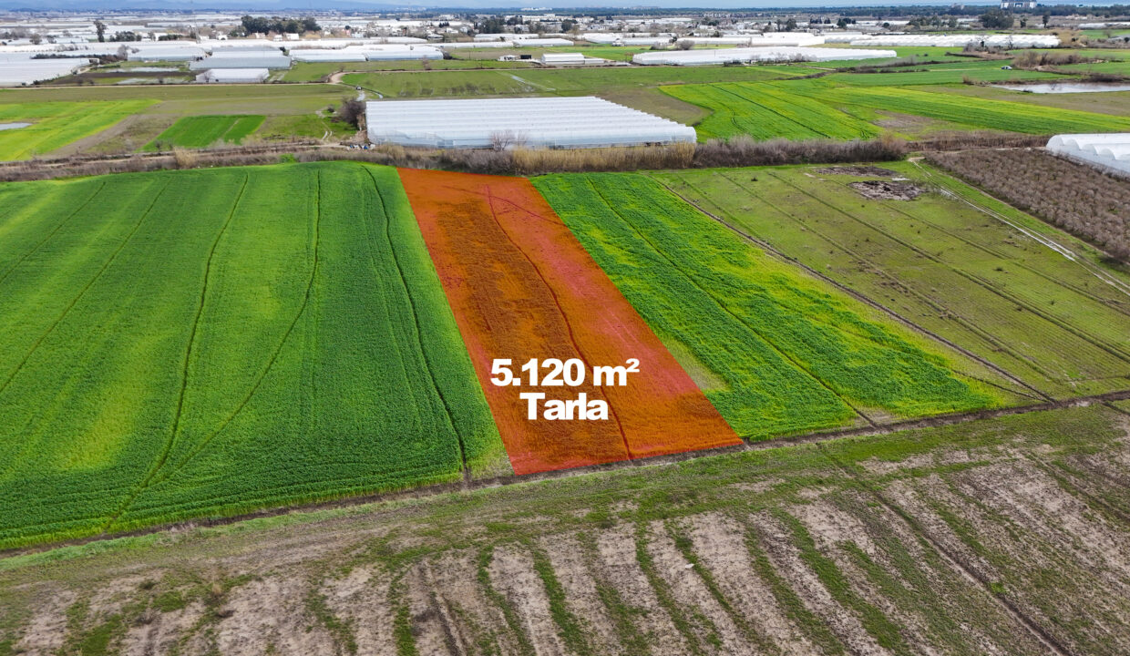 DJI_20260220125933_0012_D