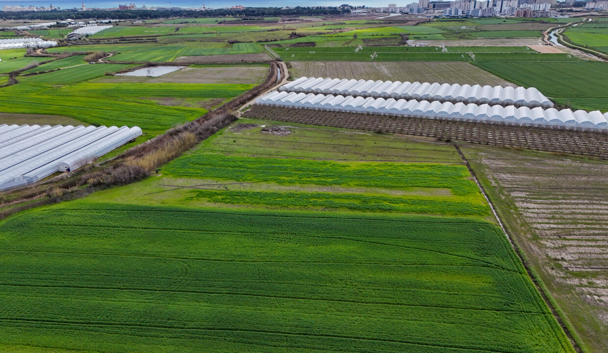 DJI_20260220130007_0014_D