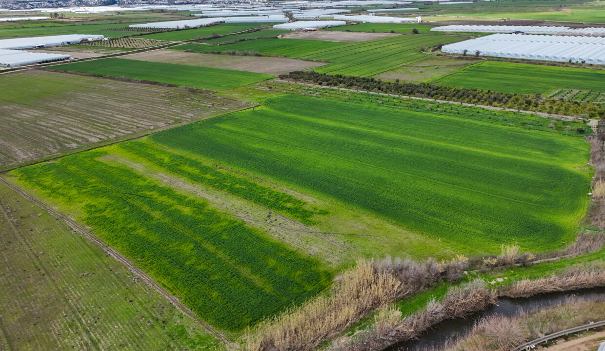 DJI_20260220130100_0018_D