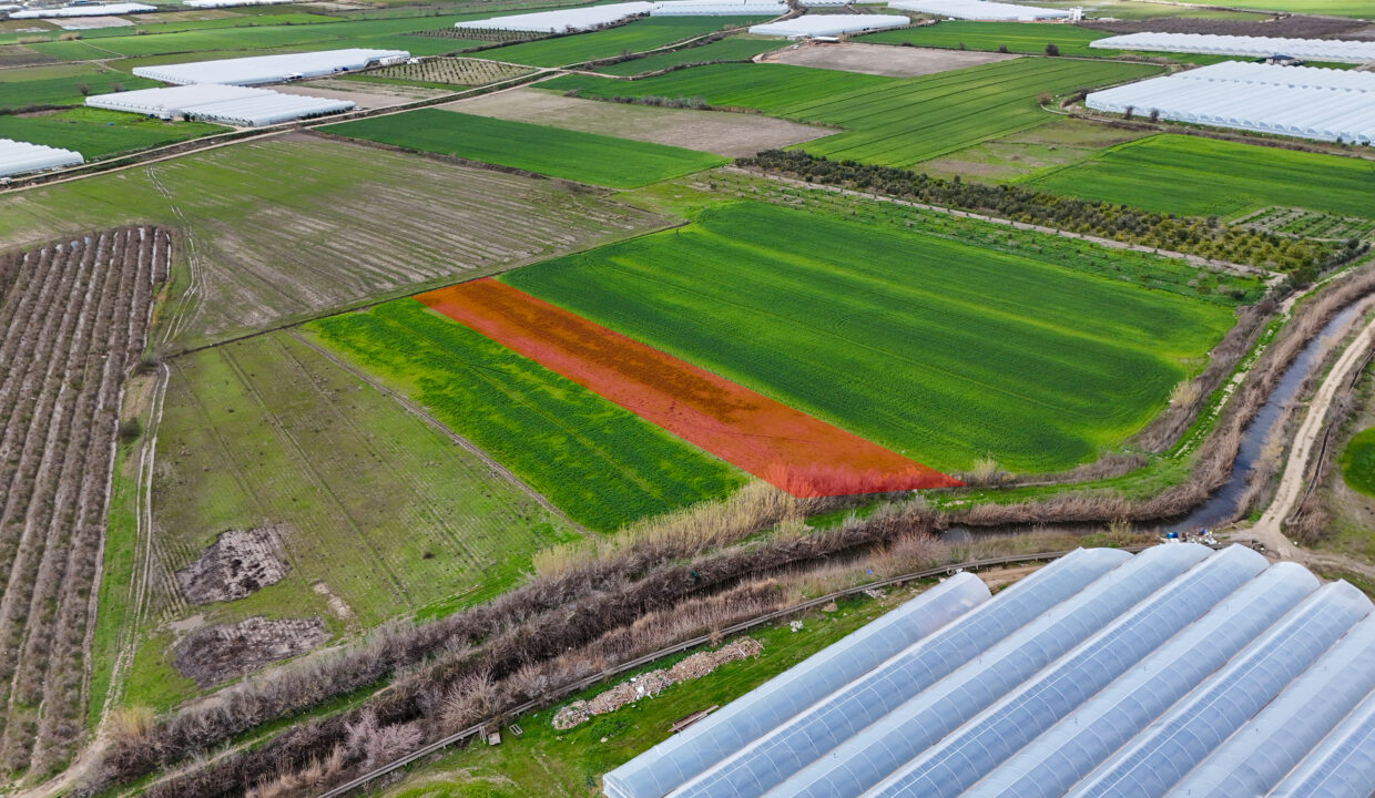 DJI_20260220130112_0019_D
