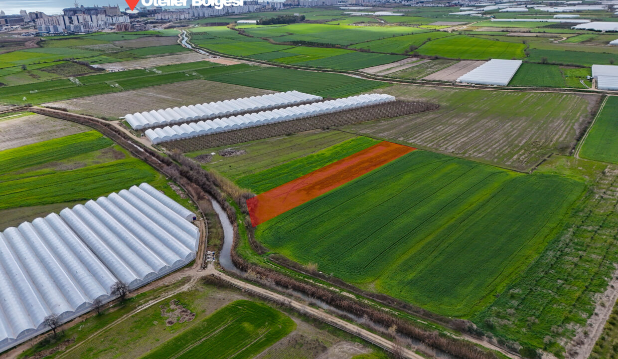 DJI_20260220130139_0020_D