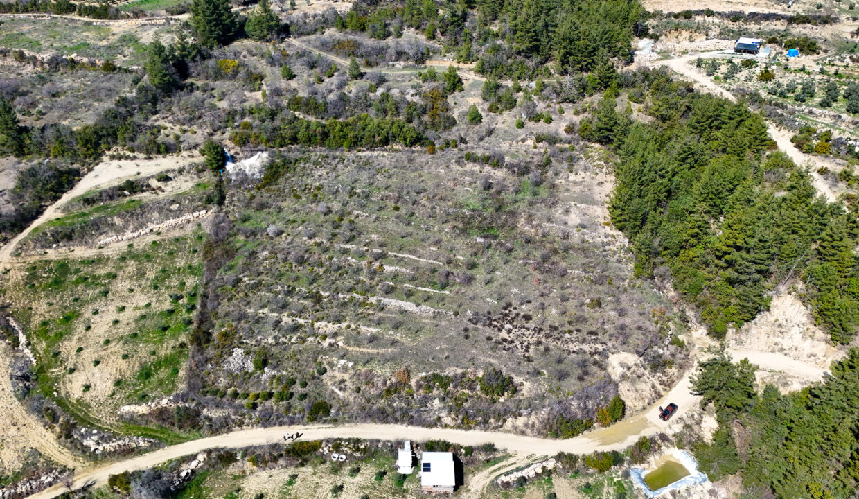 DJI_20260311110955_0001_D