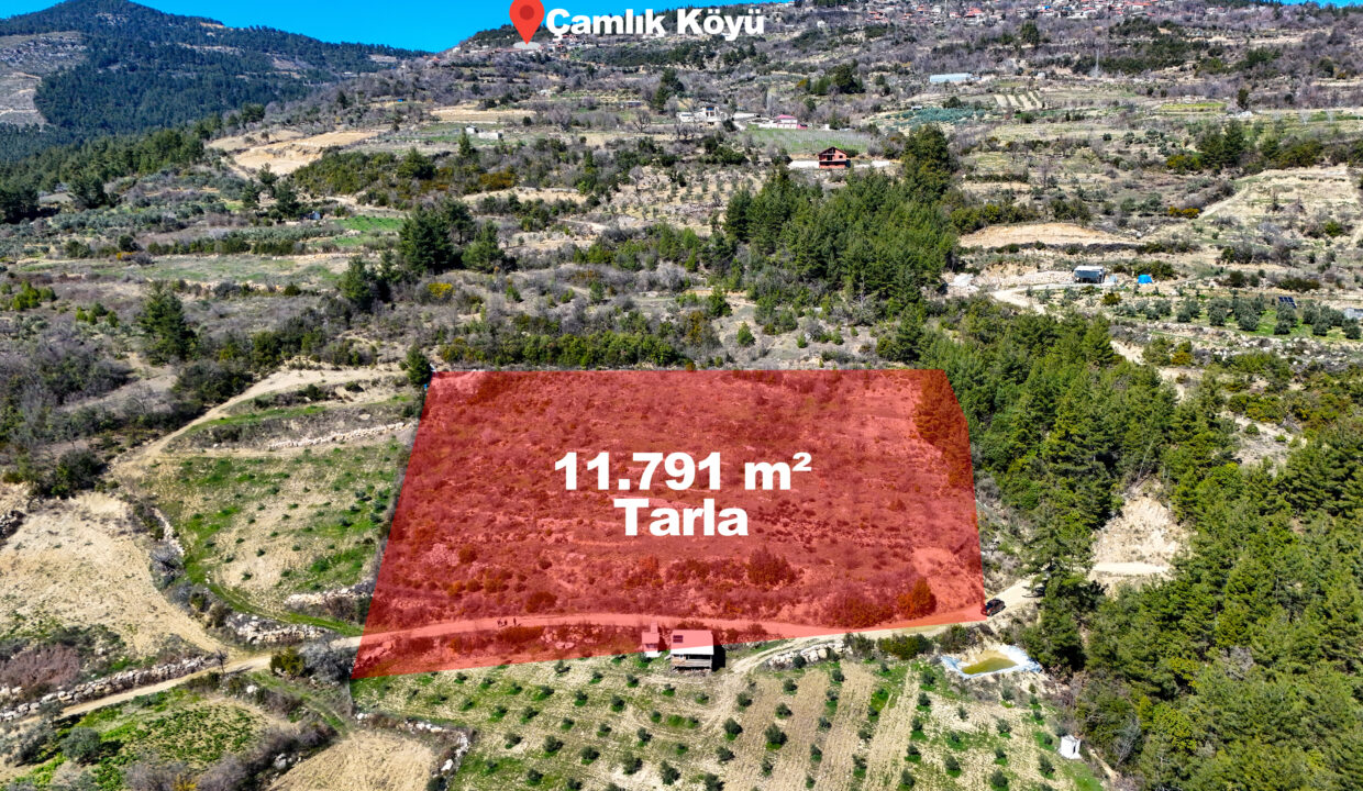 DJI_20260311111008_0002_D