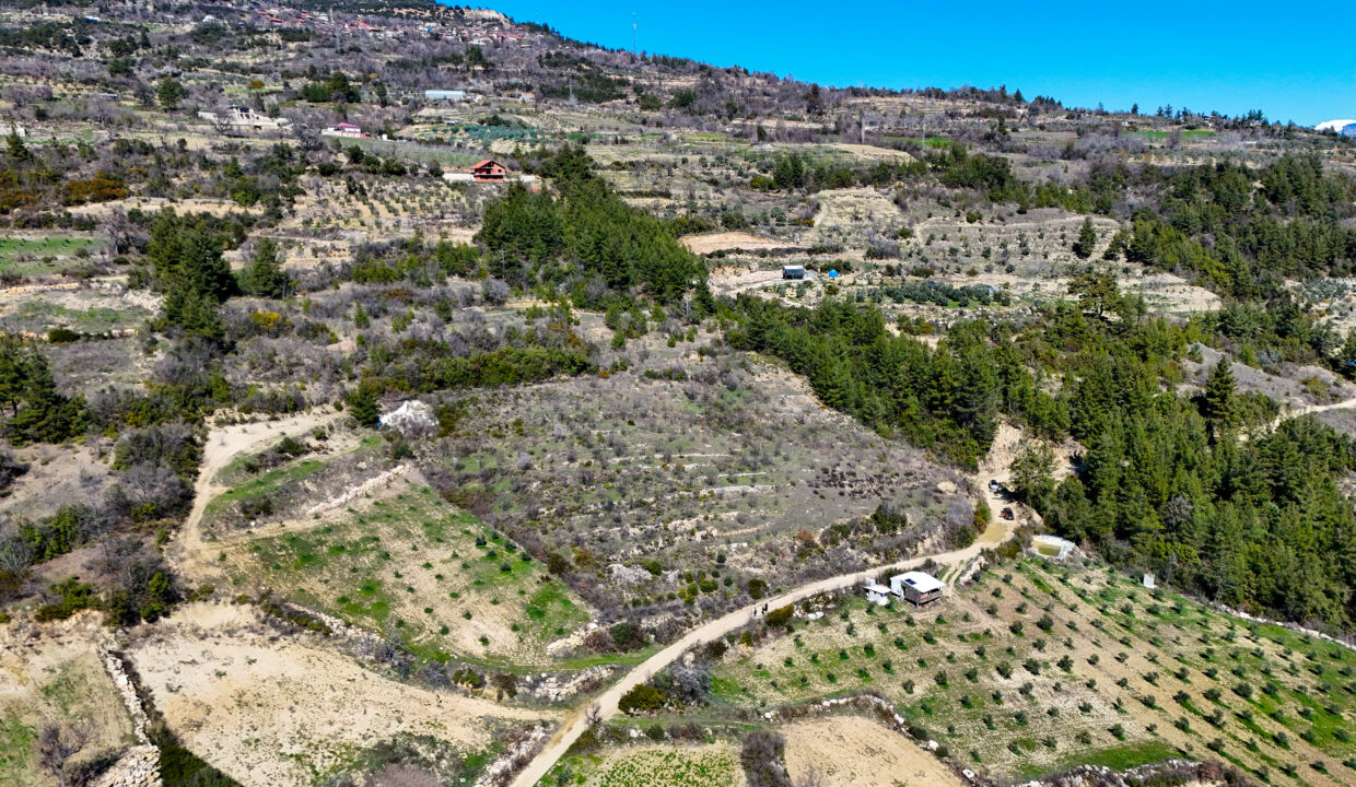 DJI_20260311111030_0003_D