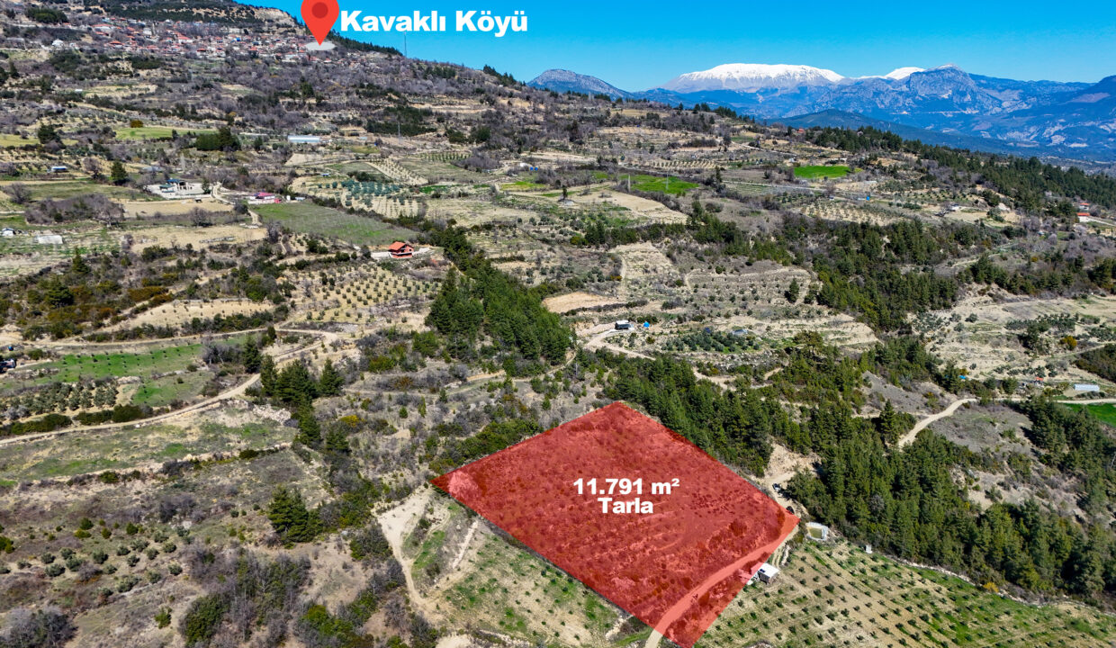 DJI_20260311111054_0004_D