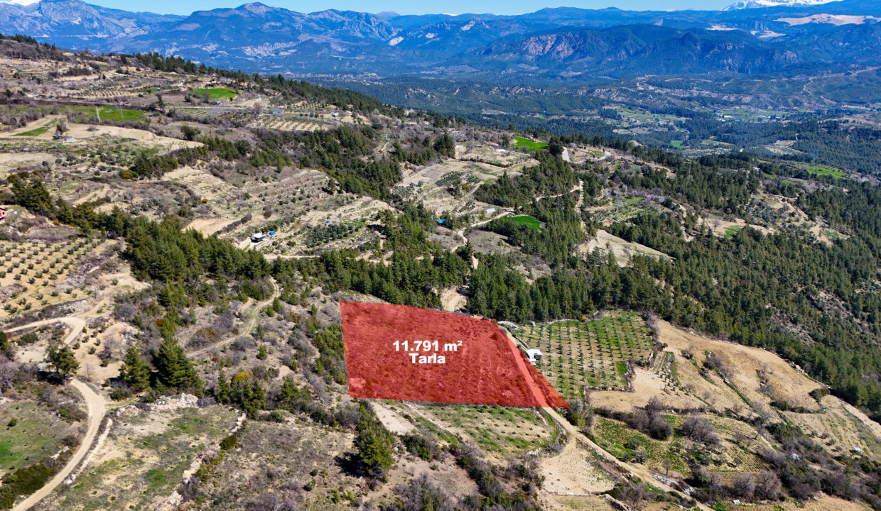 DJI_20260311111121_0005_D