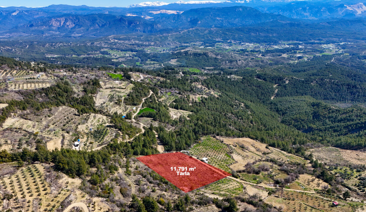 DJI_20260311111143_0006_D