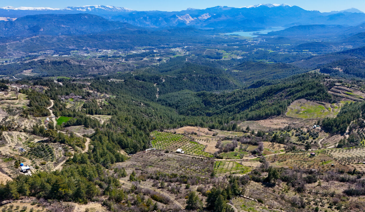 DJI_20260311111225_0008_D