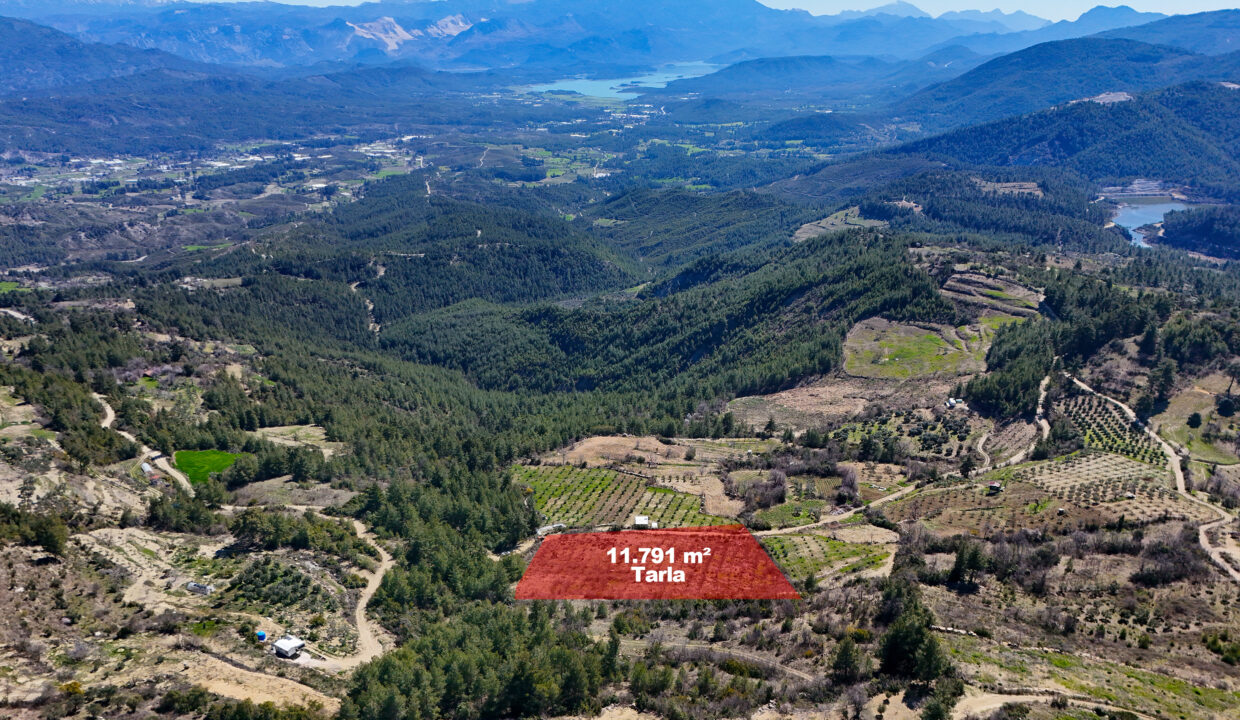 DJI_20260311111241_0009_D