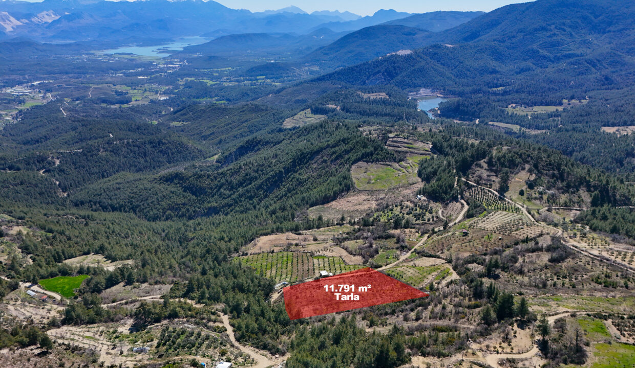 DJI_20260311111257_0010_D