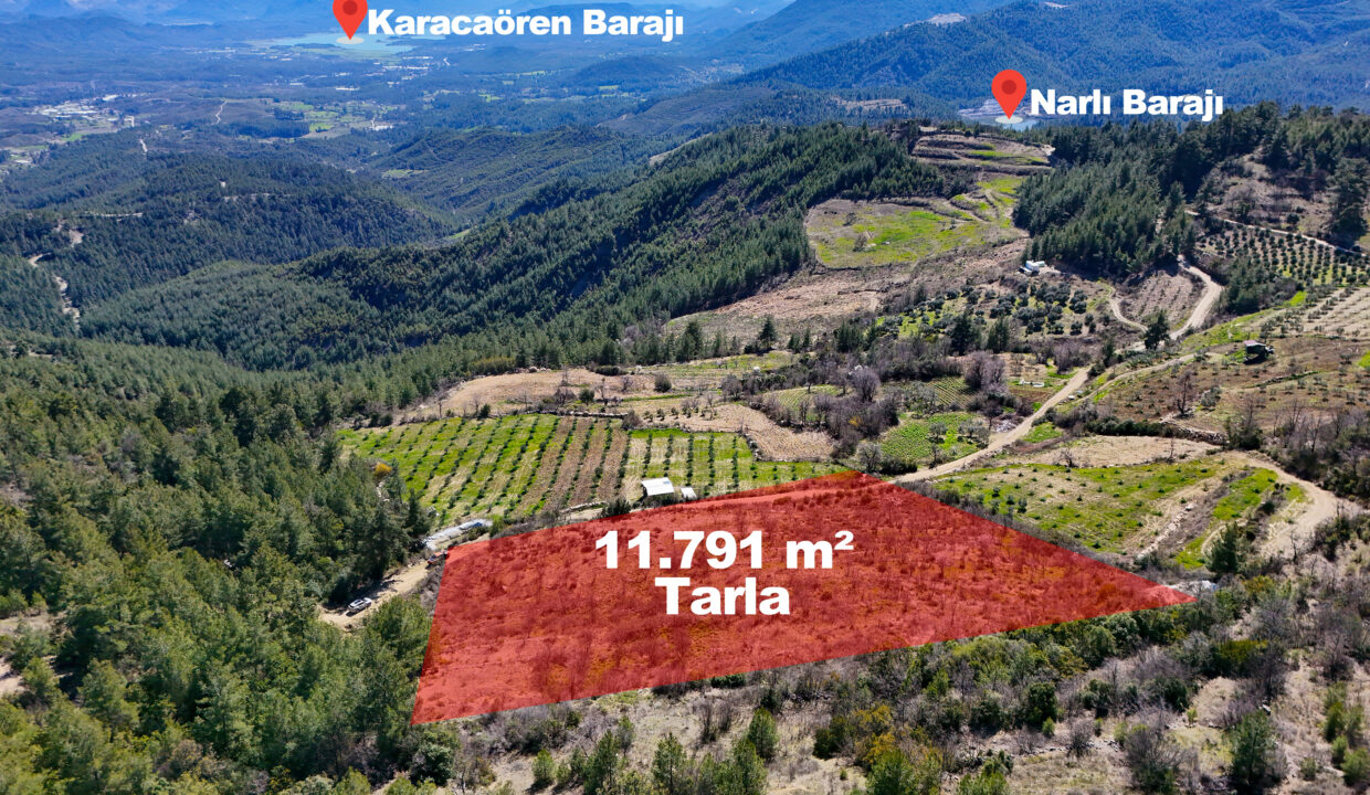 DJI_20260311111426_0011_D