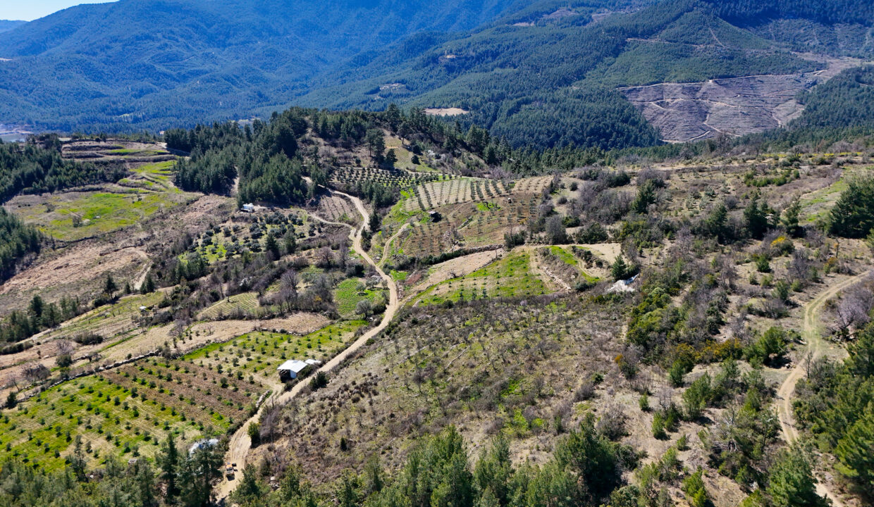 DJI_20260311111451_0012_D