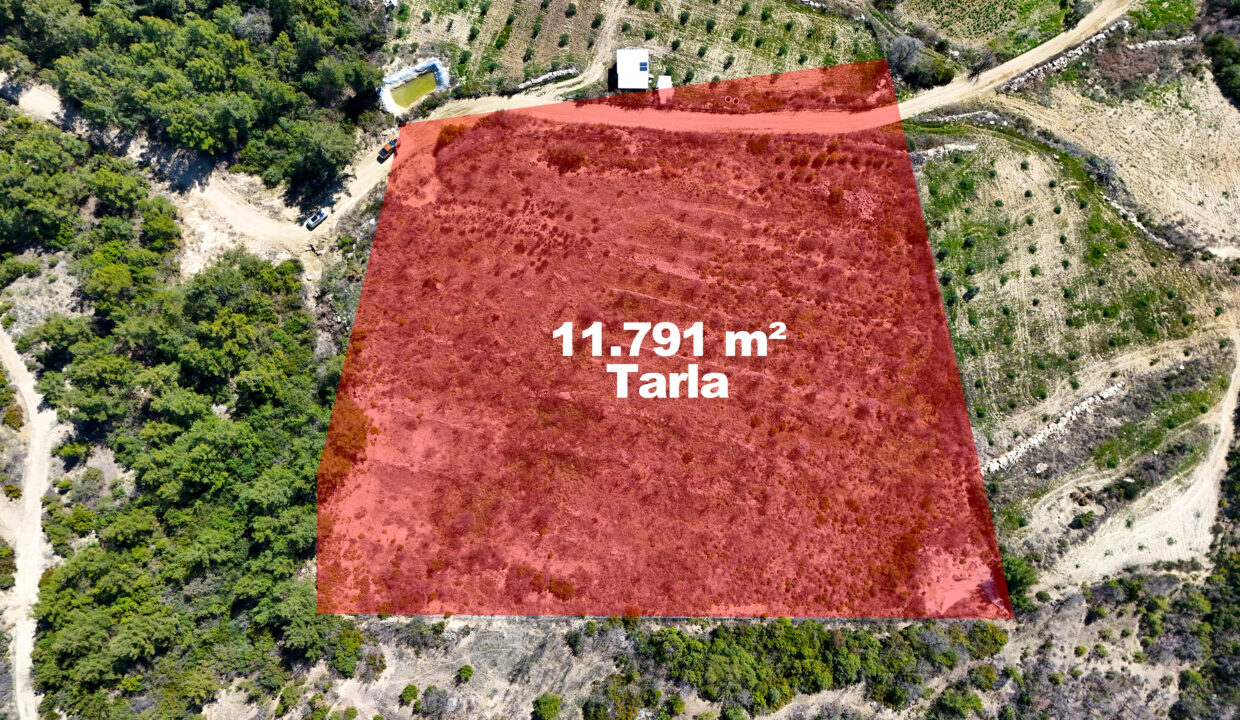 DJI_20260311111519_0013_D