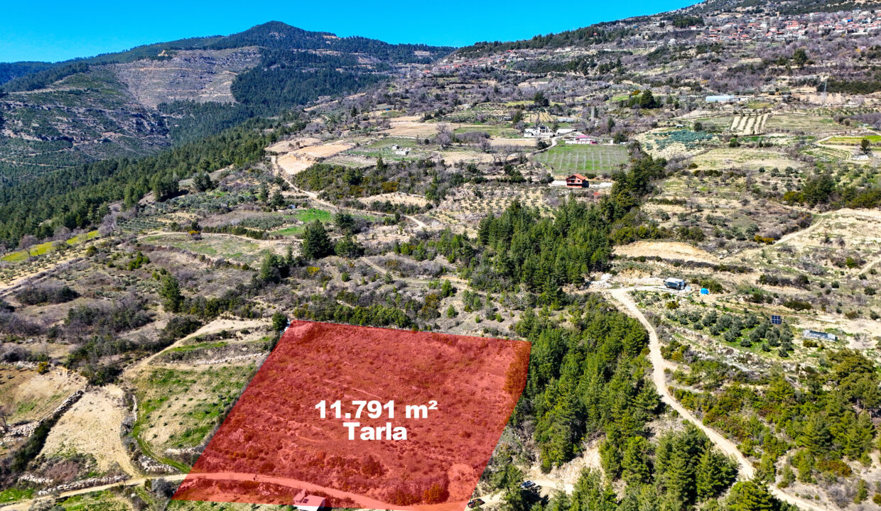 DJI_20260311111906_0019_D