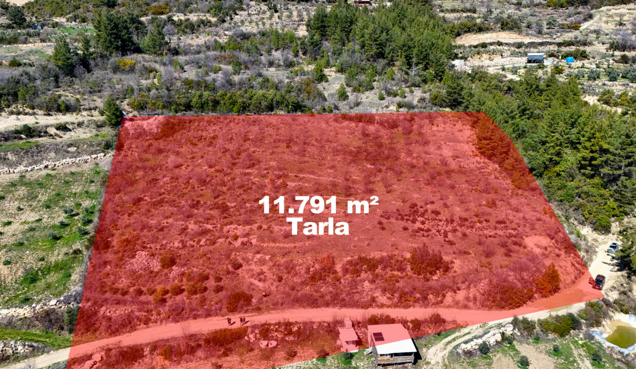 DJI_20260311112407_0025_D